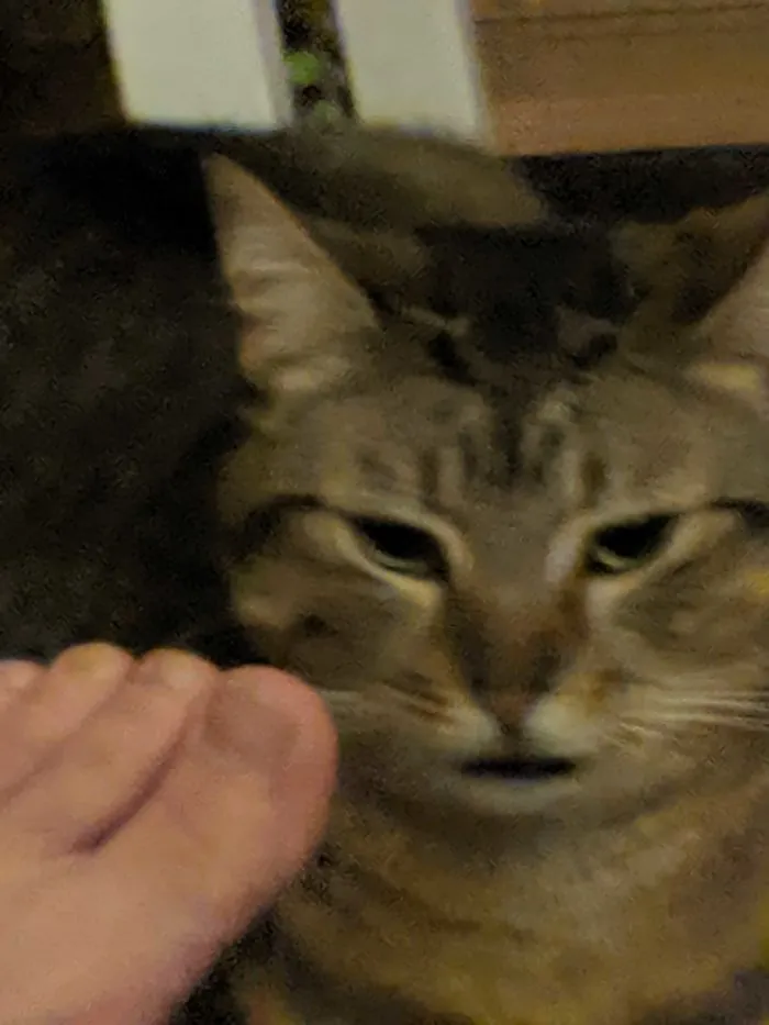 Bruh