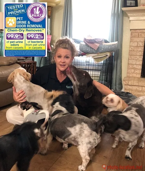 Pets