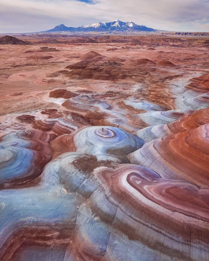 Life On Mars