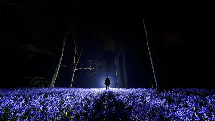 Enjoy The Nature Of The Night