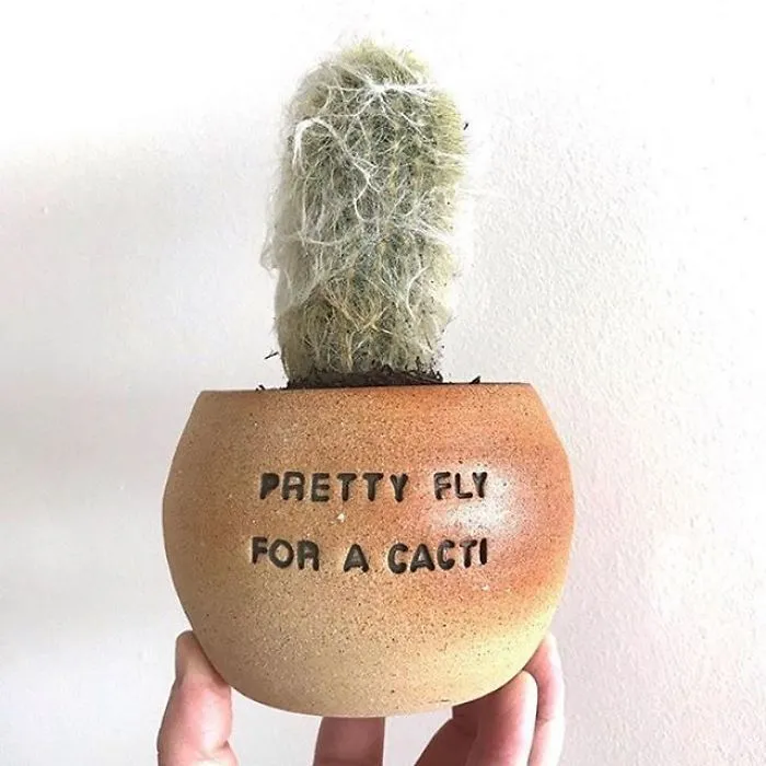 I Handmade Ceramic Planters With Witty Puns (29 New Pics)
