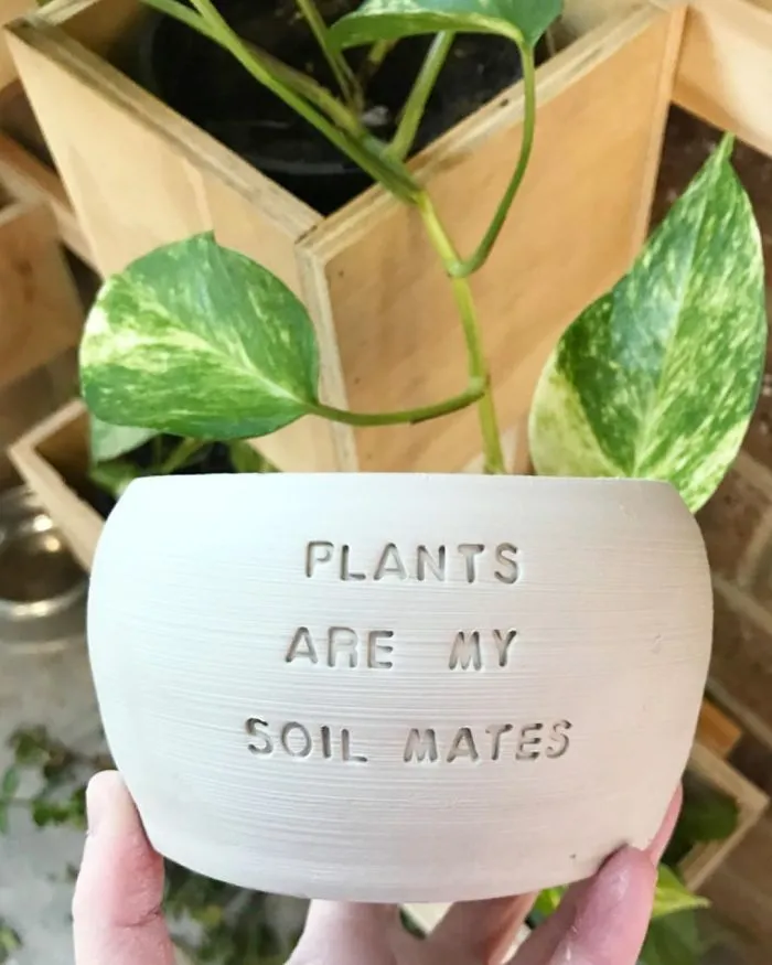I Handmade Ceramic Planters With Witty Puns (29 New Pics)