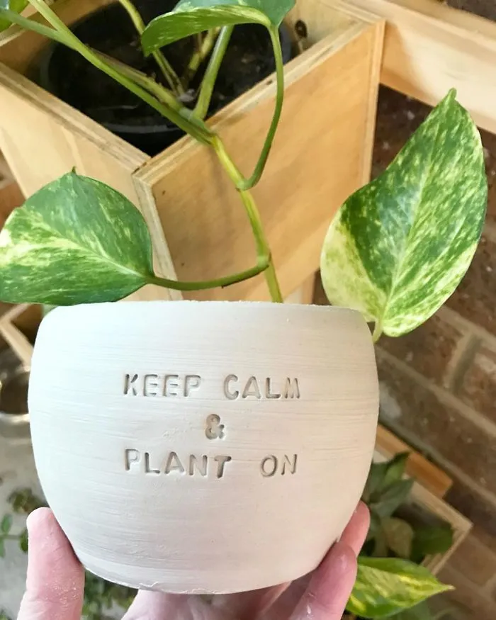 I Handmade Ceramic Planters With Witty Puns (29 New Pics)