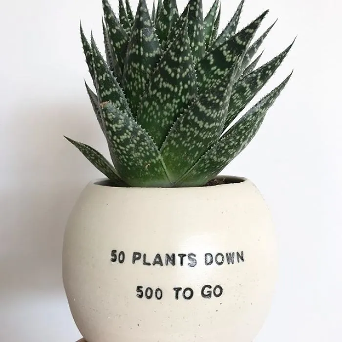 I Handmade Ceramic Planters With Witty Puns (29 New Pics)