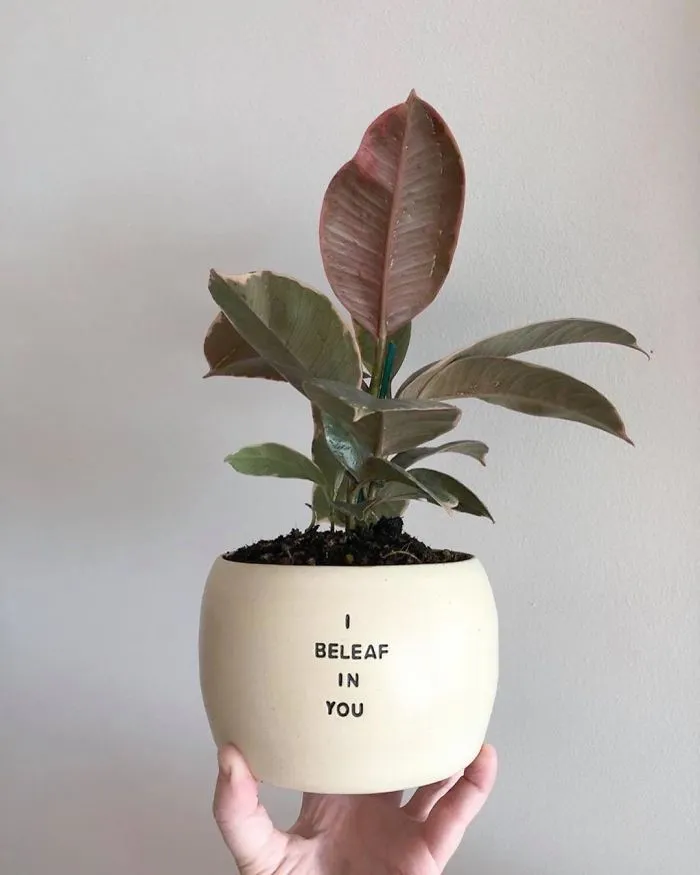 I Handmade Ceramic Planters With Witty Puns (29 New Pics)