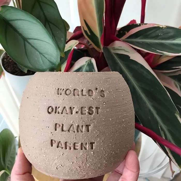 I Handmade Ceramic Planters With Witty Puns (29 New Pics)