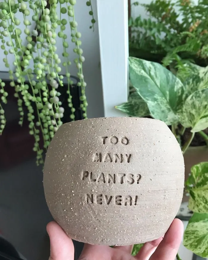 I Handmade Ceramic Planters With Witty Puns (29 New Pics)