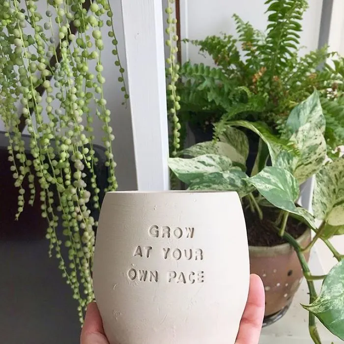 I Handmade Ceramic Planters With Witty Puns (29 New Pics)
