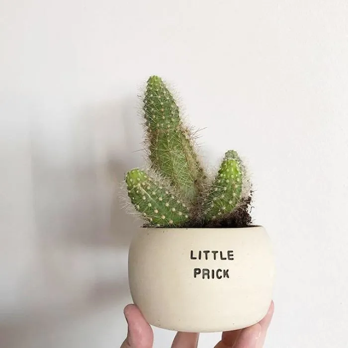 I Handmade Ceramic Planters With Witty Puns (29 New Pics)