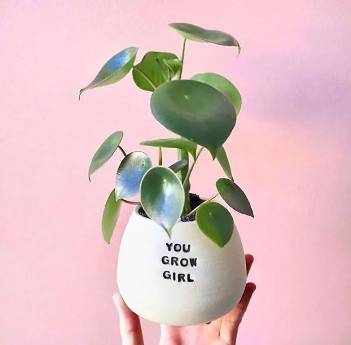 I Handmade Ceramic Planters With Witty Puns (29 New Pics)