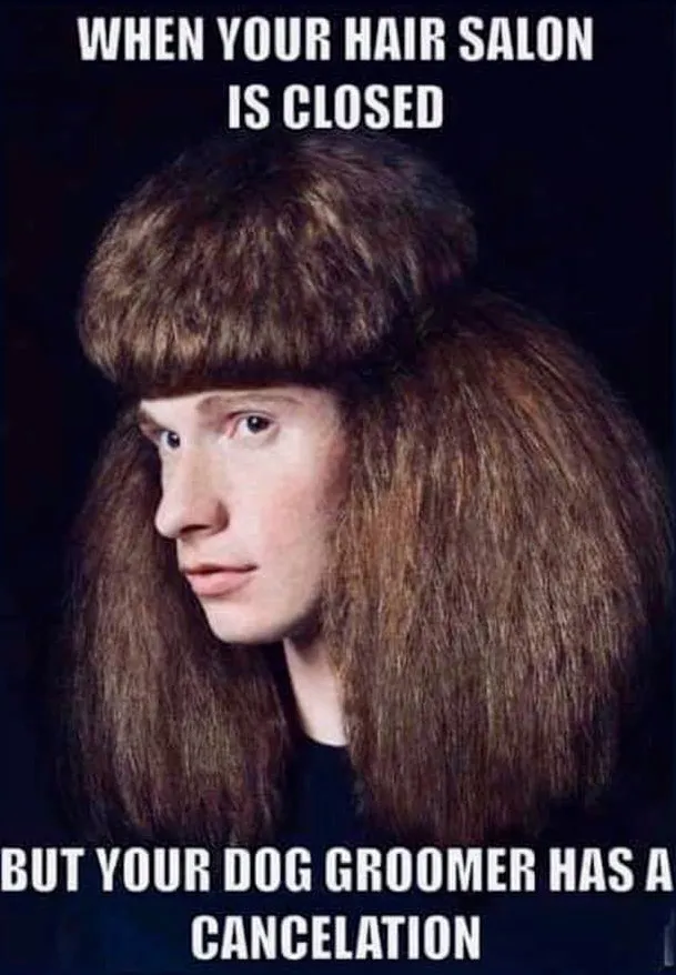 This For Real Be Haircuts In 2020