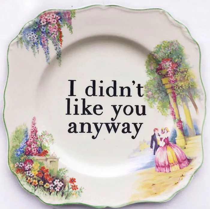 Thrifted Vintage Plates Made Irreverent With Typography By Marie-Claude Marquis (62 Pics)