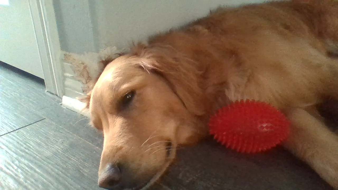 She Is Sleepy