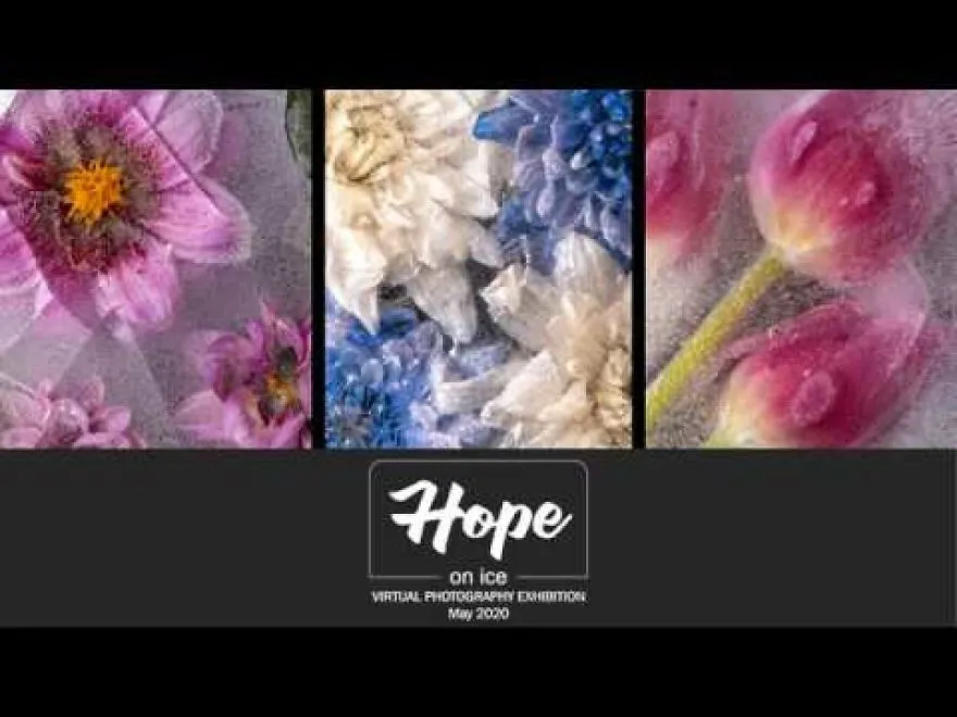 How I Put My Hope On Ice And Transformed It Into Art During Lockdown