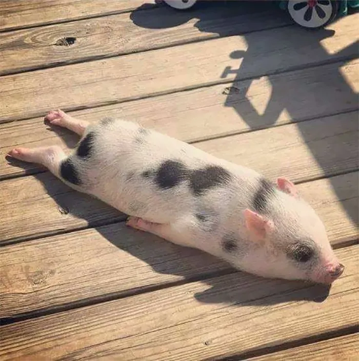 When the sun hits your spot just right