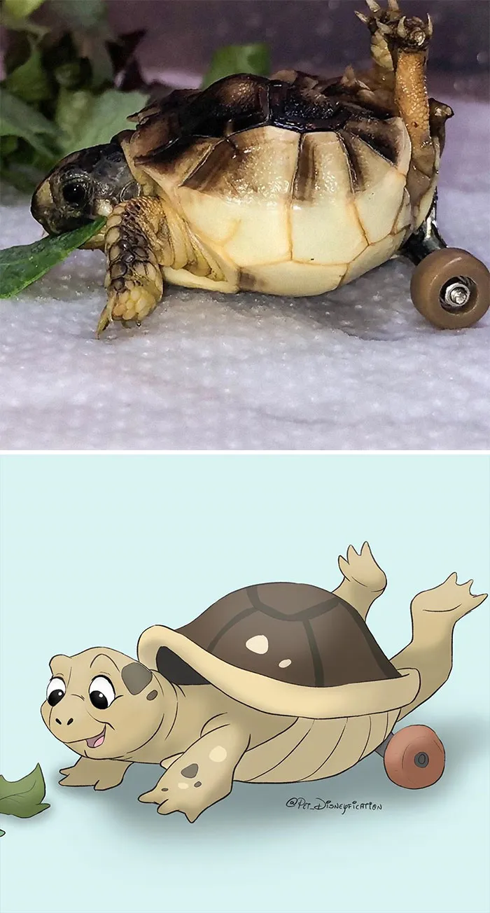People Send Pics Of Their Pets To This Artist And She Disneyfies Them (30 Pics)