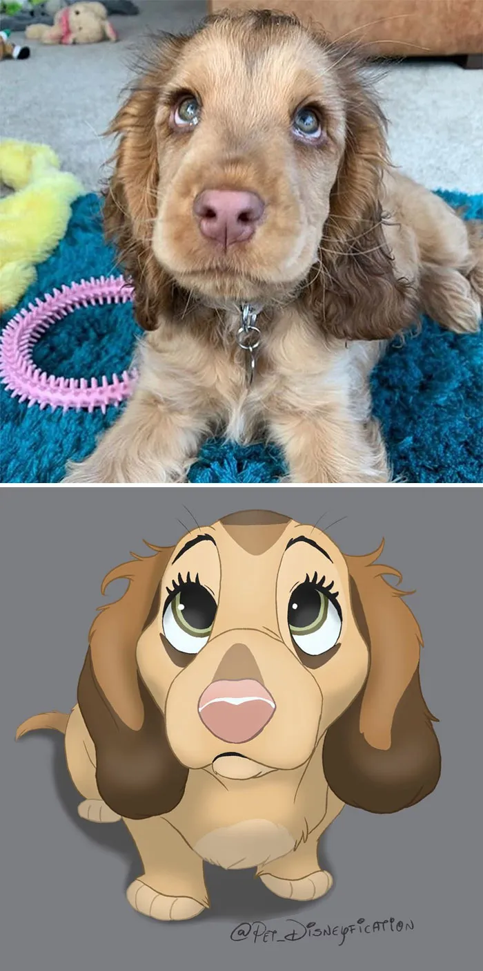 Artist-Turns-Pets-Disney-Characters-Pet-Disneyfication