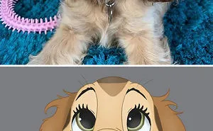 People Send Pics Of Their Pets To This Artist And She Disneyfies Them (30 Pics)