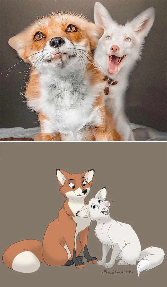 La gente envía fotos de sus mascotas a esta artista para que las "disneyfique" (30 imágenes)