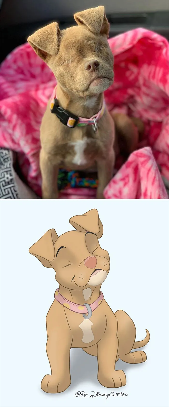 People Send Pics Of Their Pets To This Artist And She Disneyfies Them (30 Pics)