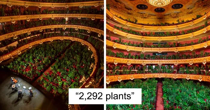Barcelona Opera House Reopens With A Performance In Front Of A Majestic Crowd Of 2,292 Plants