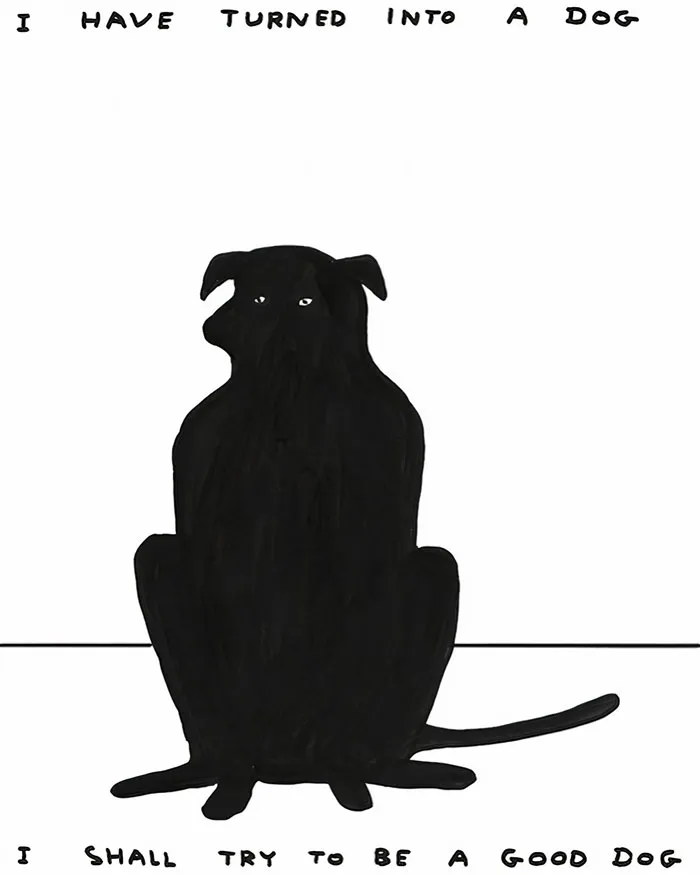British Artist David Shrigley Shows Off His Dark Sense Of Humor In 44 Brilliant Illustrations