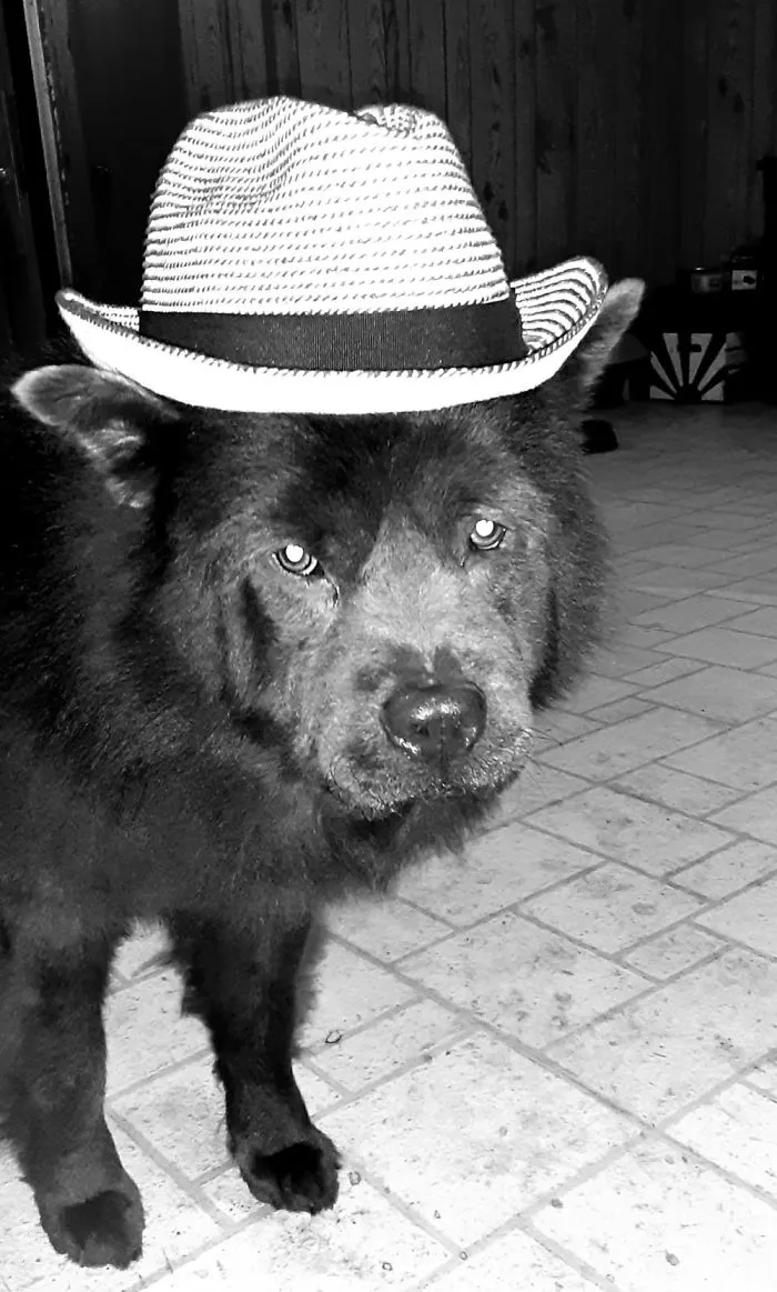 Names Cleveland.  Hes In A Jazz Band