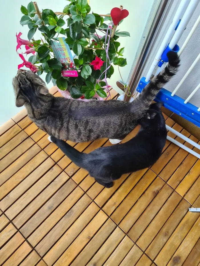 I Think They Prefer Different Things