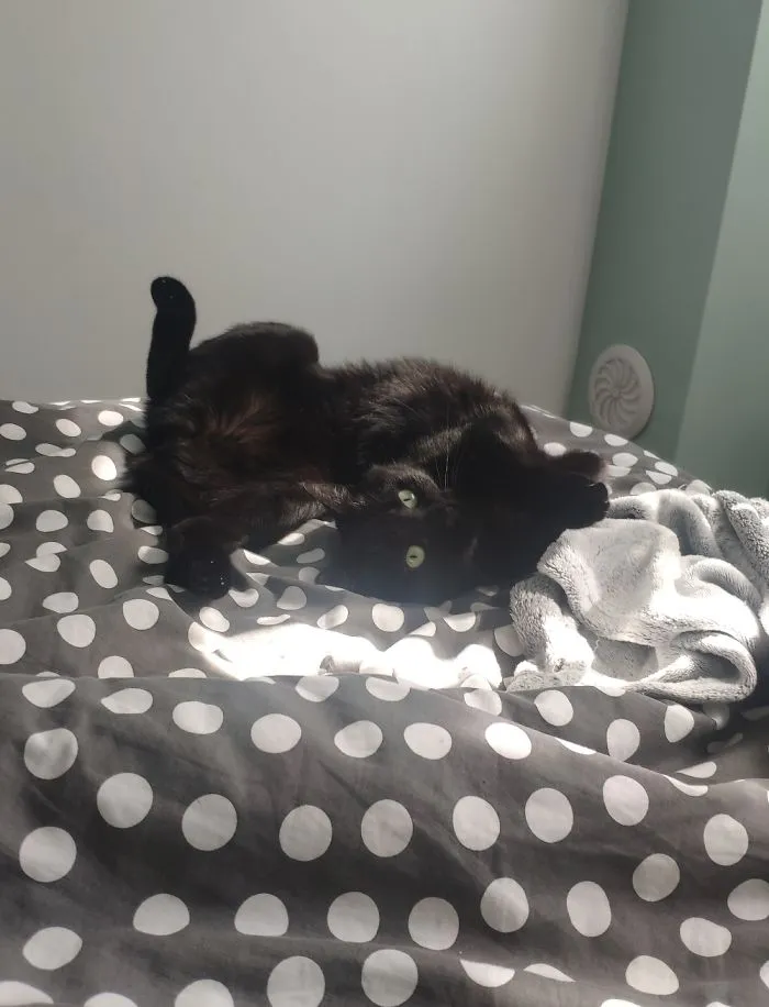 Call An Exorcist