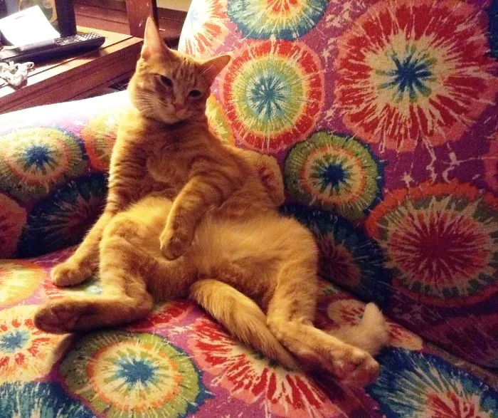 Calvin Likes To Flaunt His (Missing) Stuff!