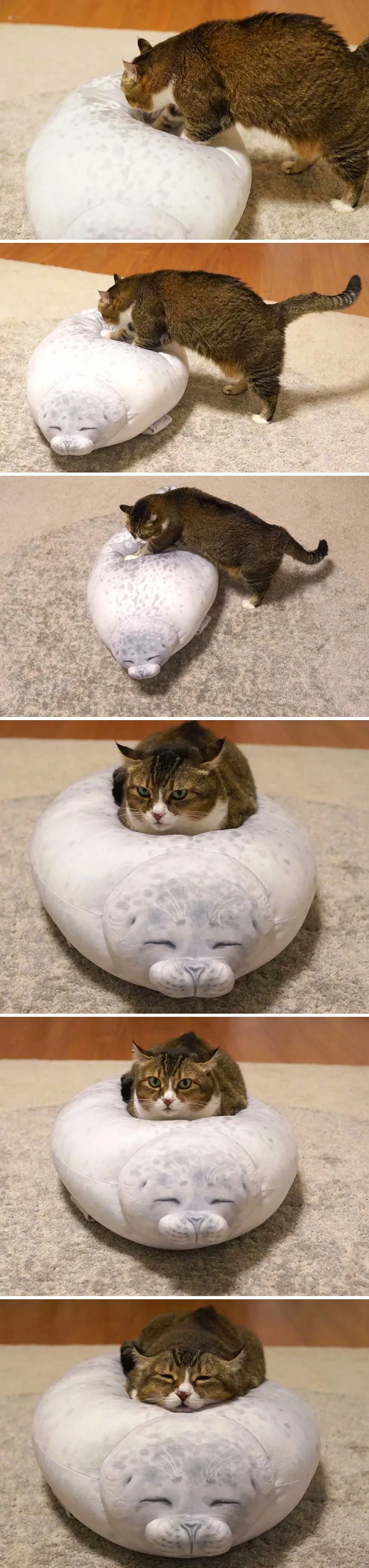 Soo Fluffy