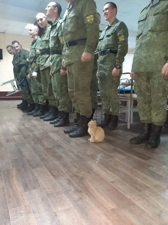 When You Lie On Your Resume And Still Get The Job