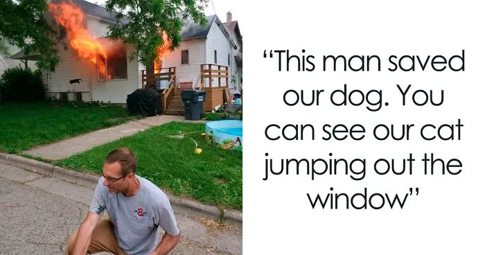 50 Of The Best Cat Posts That Are Impossible Not To Scroll Through (New Pics)