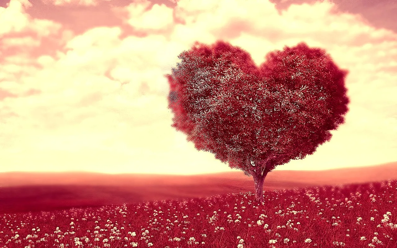 Love Is All We Need