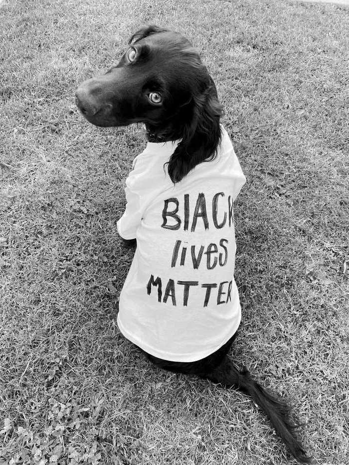 Dog Signs