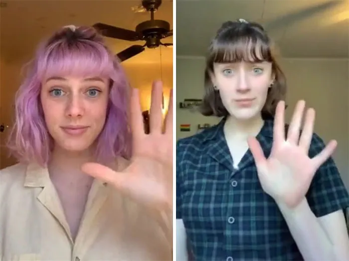 Guy Issues A Challenge To TikTok To Find Their Doppelgangers And Here Are 22 Of The Most Uncanny Resemblances