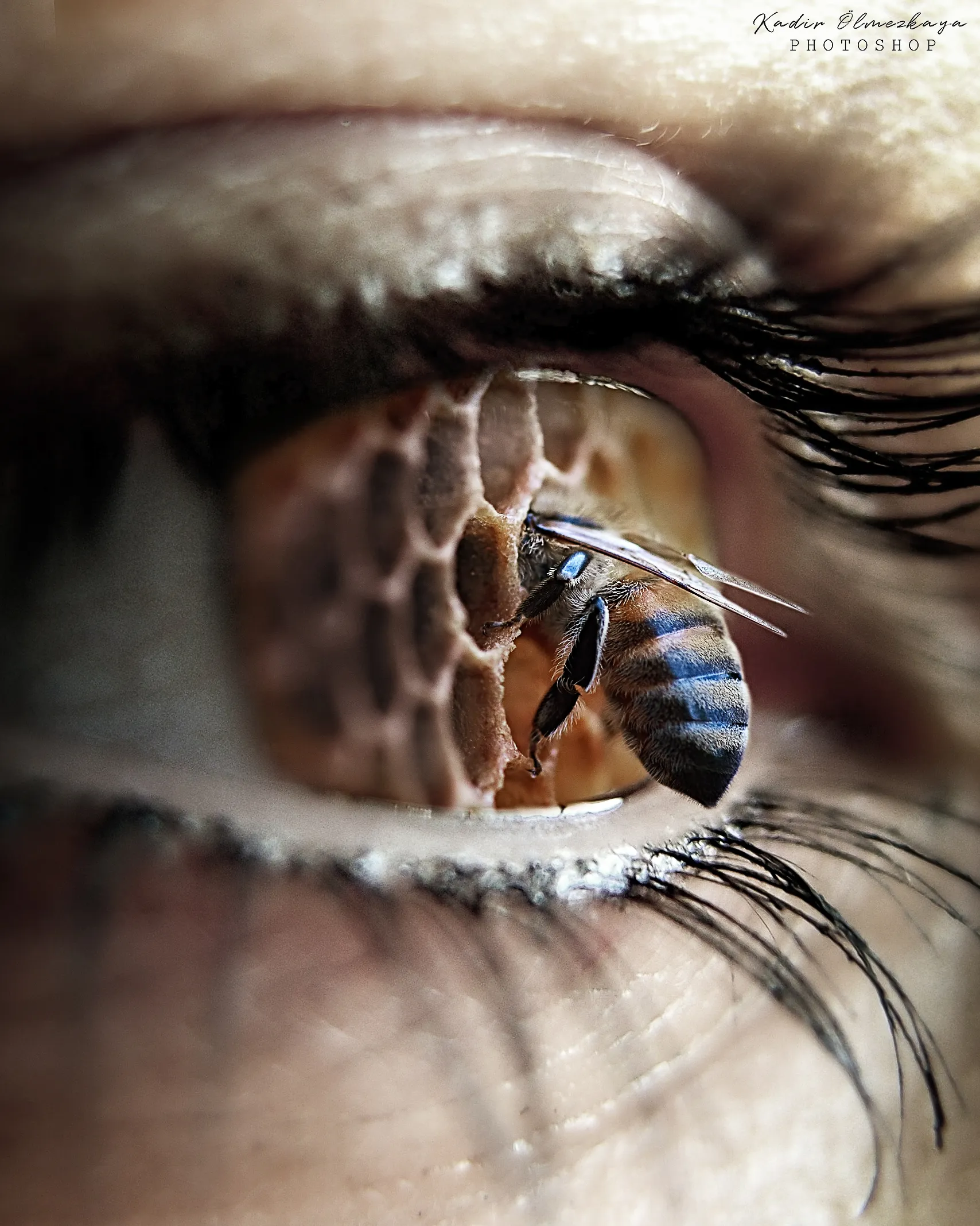 Photo Manipulations