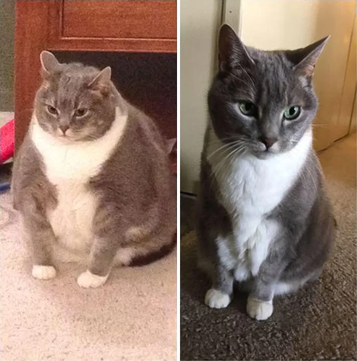 The Only Transformation Pic I Will Allow
