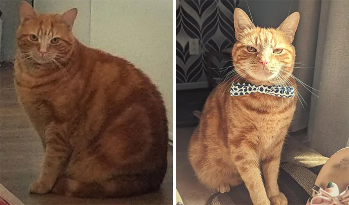 Look At My Handsome Boy's Progress
