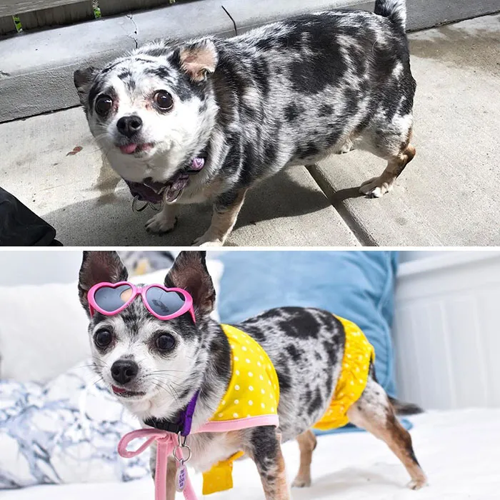 "I Thought I’d Share My Most Popular (And Hotly Debated) Before And After Photo So You Can See How Far I’ve Come"