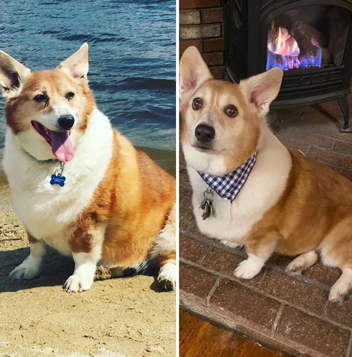 Noah abulta menos que hace 3 años