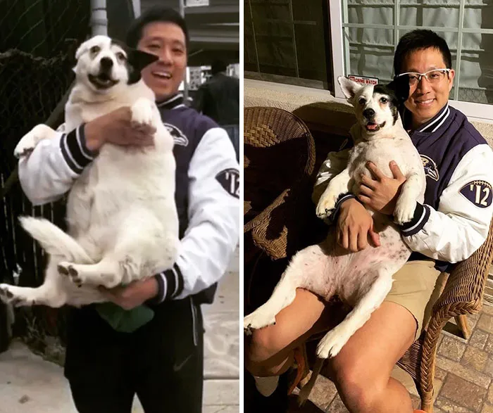Squishy es más fácil de cargar ahora