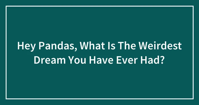Hey Pandas, What Is The Weirdest Dream You Have Ever Had? (Ended)