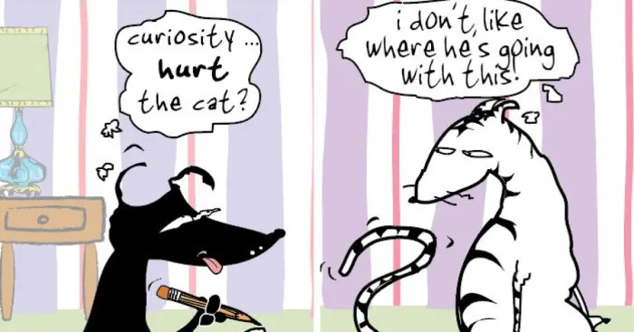 Petey & Keats Drawn From A Dog And A Cat I Had The Pleasure Of Having As Companions