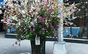 Unexpected Places In NYC Are Blooming With Flowers To Honor Healthcare Workers Thanks To Lewis Miller (11 Pics)