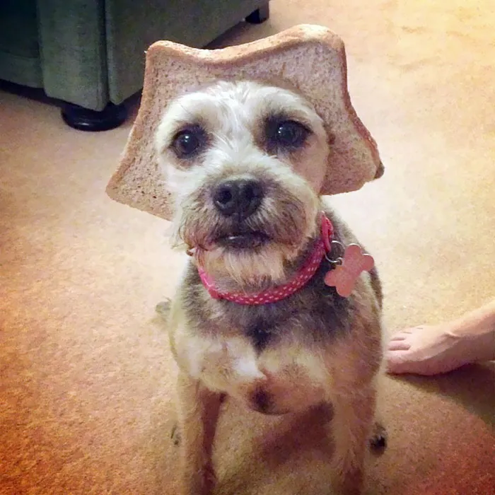 Tina Wearing Her Bread Crown