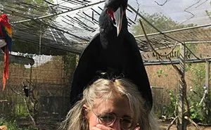 40 Hilarious Bird Posts That Were Too Good Not To Share