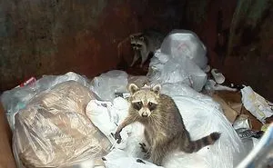 This Facebook Group Is Dedicated To Crappy Wildlife Photos That Are So Bad They’re Good (40 New Pics)
