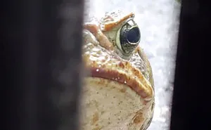 This Facebook Group Is Dedicated To Crappy Wildlife Photos That Are So Bad They’re Good (40 New Pics)