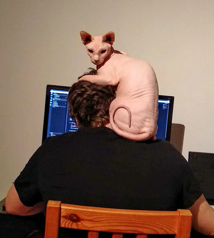 Little Goblin Support